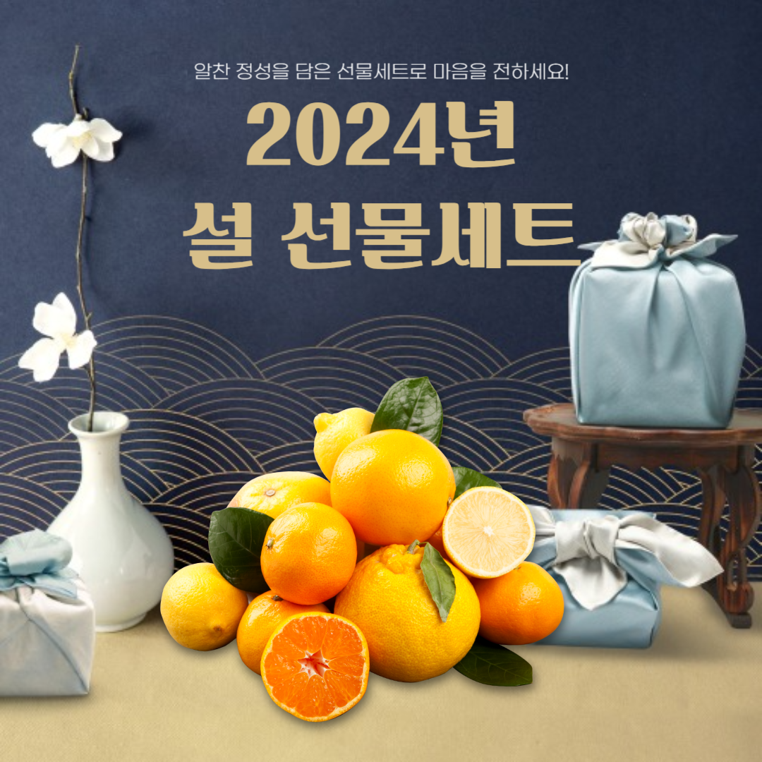 2024년 설명절 선물세트 추천