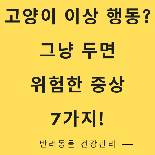 고양이 이상 행동? 그냥 두면 위험한 증상 7가지!