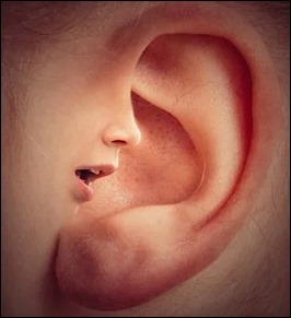 돌발성 난청 원인 9