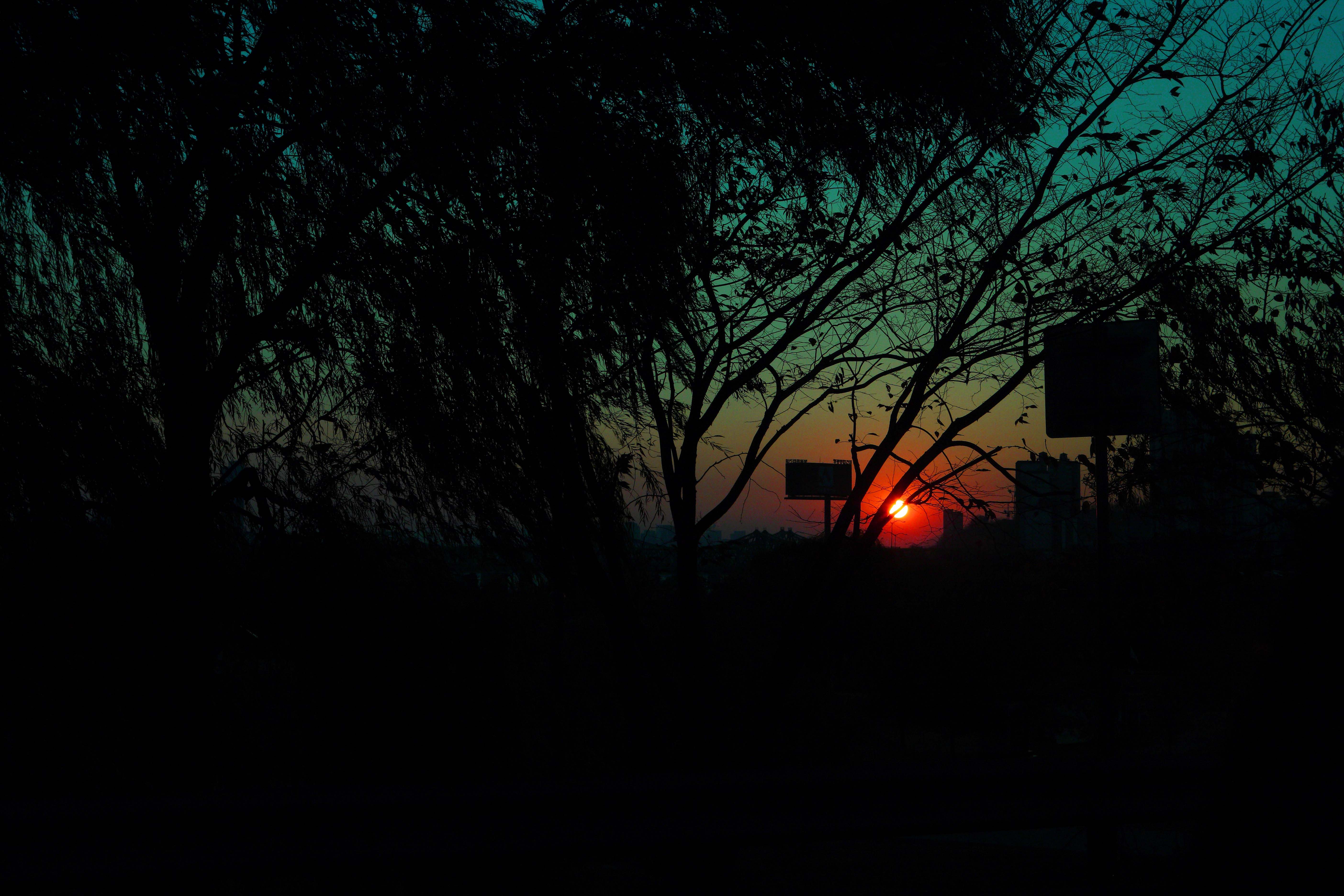 6월 축제 가볼만한 곳