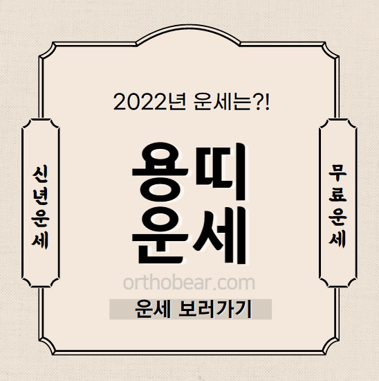 2022년 용띠 운세