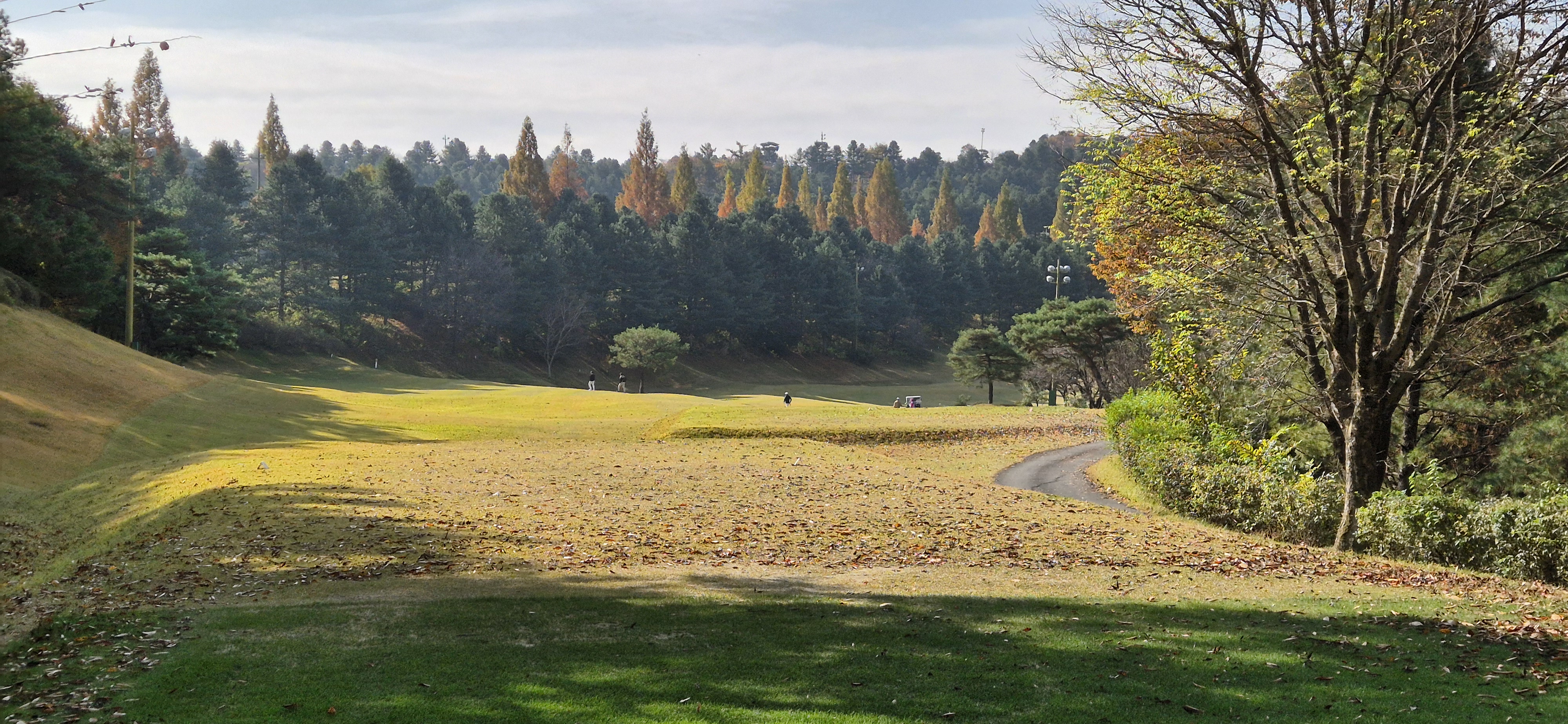 시그너스cc 실크코스 사진 및 공략 정보
