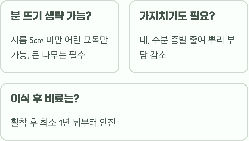 회화나무 이식하기 가장 좋은 시기와 몸살 없이 성공하는 방법
