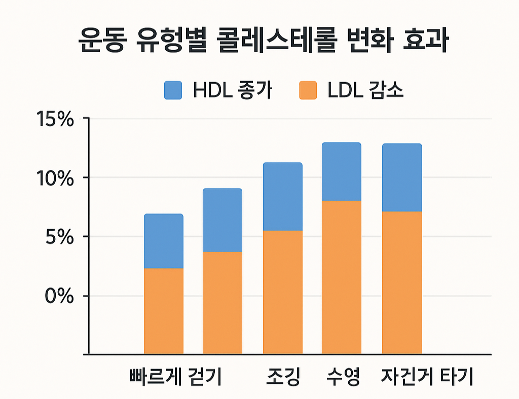 운동 유형별 콜레스테롤 변화 효과