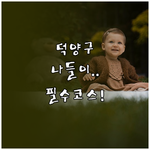 1월 덕양구 가족 나들이 장소 5곳과..
