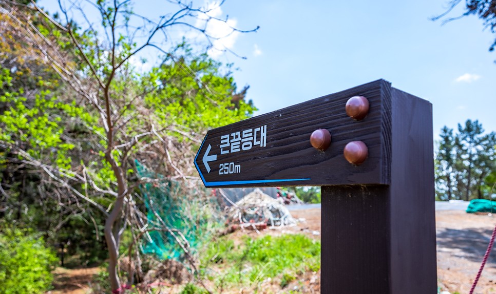 여수 가족 여행 1박 2일 코스 BEST 5