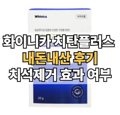 화이니카-치탄플러스-내돈내산-후기-치석-제거-효과