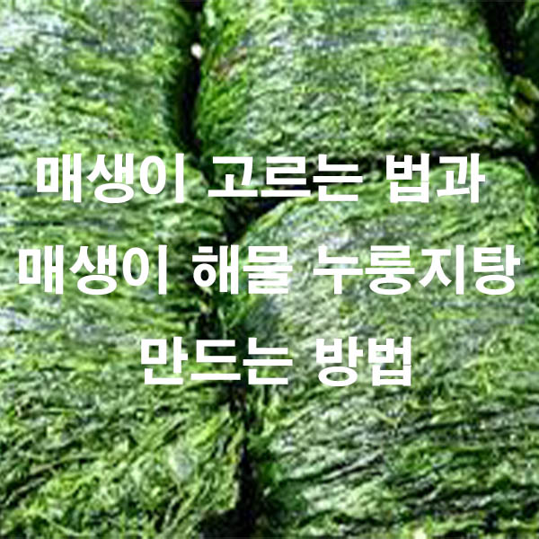 매생이 고르는 법과 매생이 해물 누룽지탕 만드는 방법