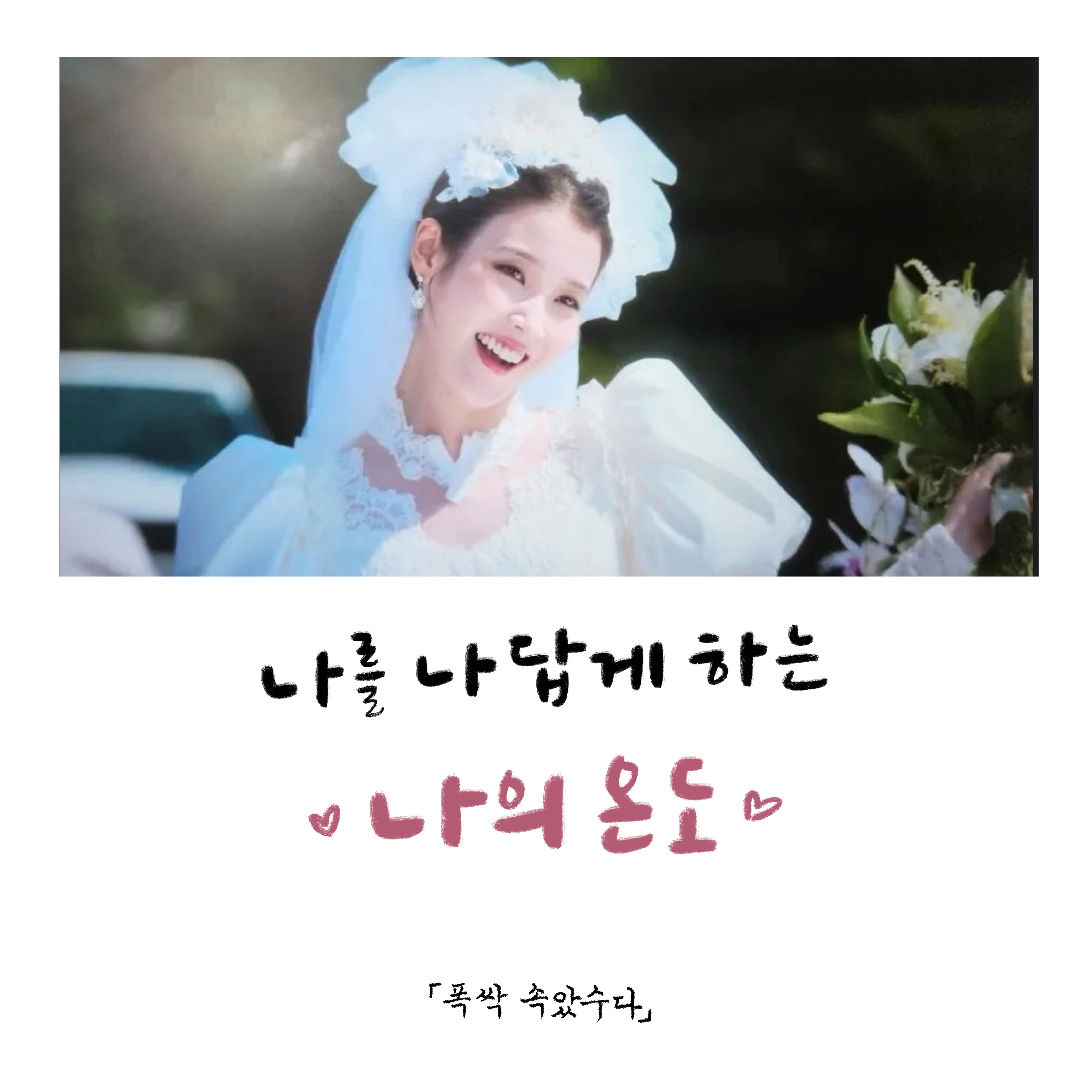 <폭싹 속았수다> 명대사 50개 모음