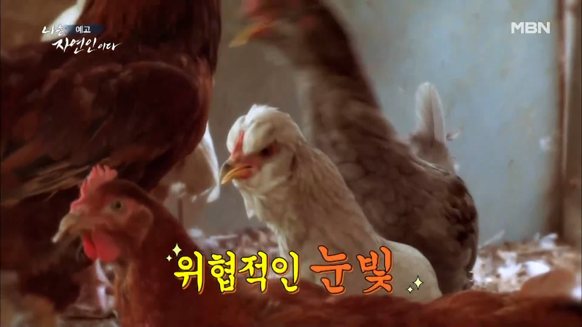 이승윤 윤택 나는 자연인이다 515회 울화로 가득찼던 지난날의 자신과 화해하며 사는 산골 자연인 박세귀 소개 및 출연 다시보기