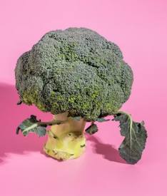 골다공증에 좋은 음식 영양제 식단