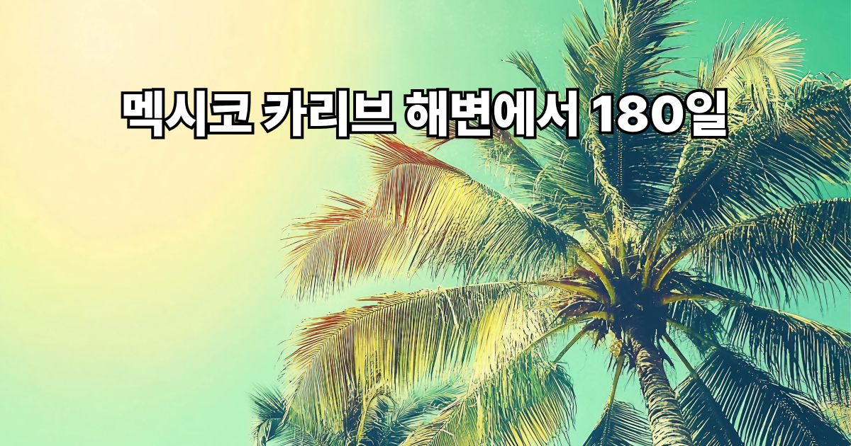 무비자 입국 180일? 디지털 노마드에게 멕시코는 그야말로 천국입니다. 관광 비자 하나로 반년간 자유롭게 머무르며 원격근무가 가능한 나라, 멕시코의 FMM 비자를 지금 소개합니다