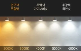 주광색 주백색 차이 비교 차이점_14