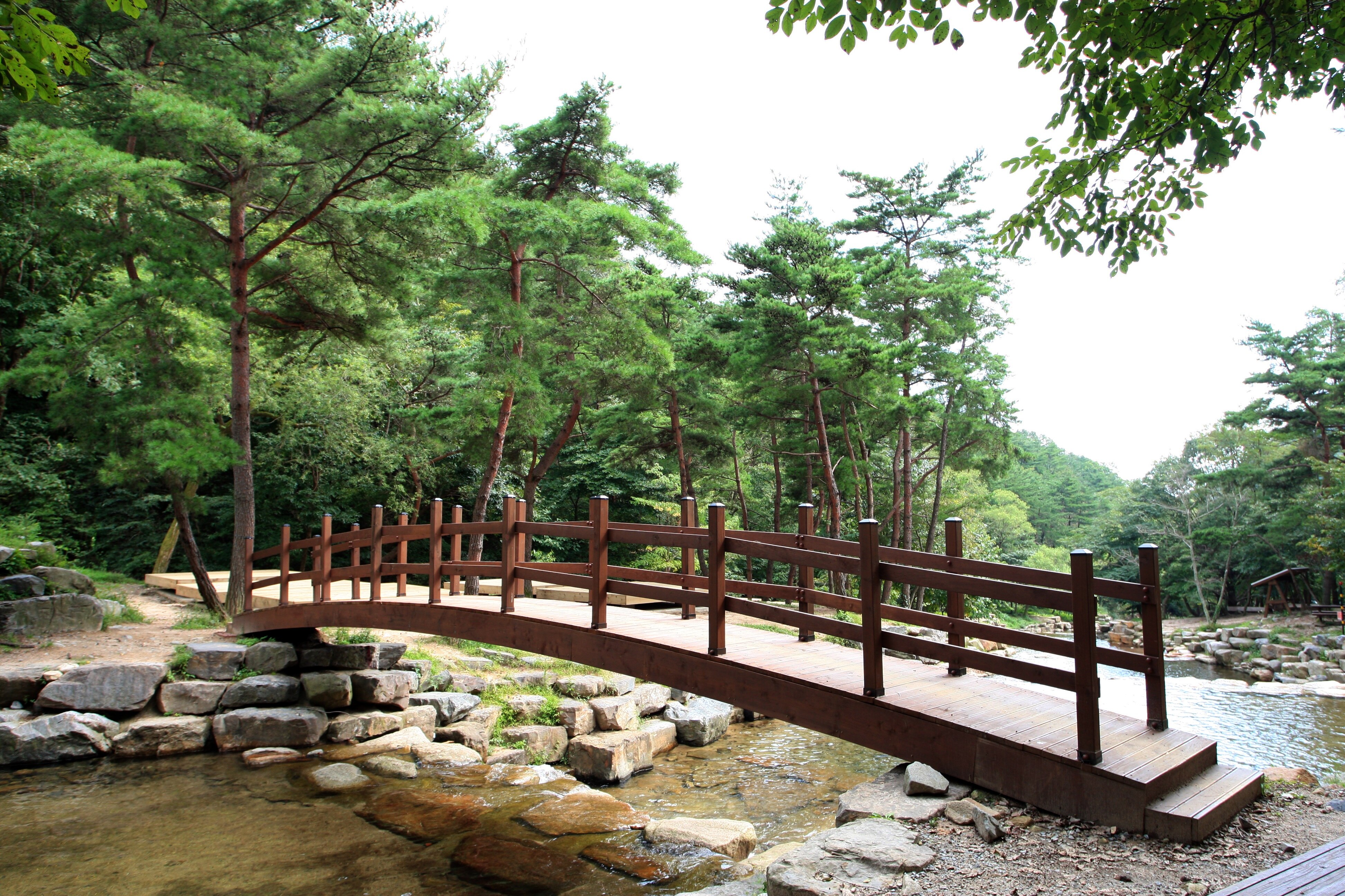 오도산치유의숲 숲속 산책로와 나무다리｜고요한 자연 속 힐링 공간