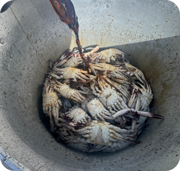 6시 내고향 게장 전북 부안 맛집