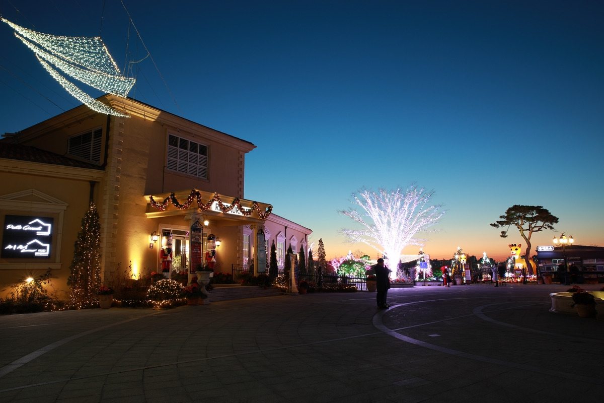 별빛이 흐르는 정원 파주 퍼스트가든 가이드