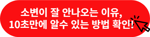 전립선암-초기증상