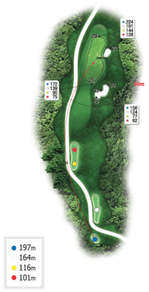 와일드 코스 7 Hole