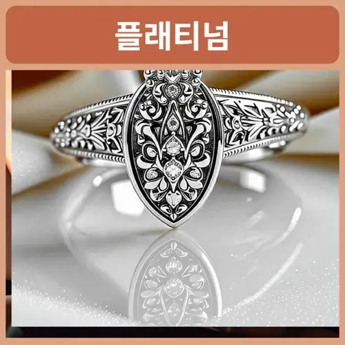 쌍용더플래티넘-청주