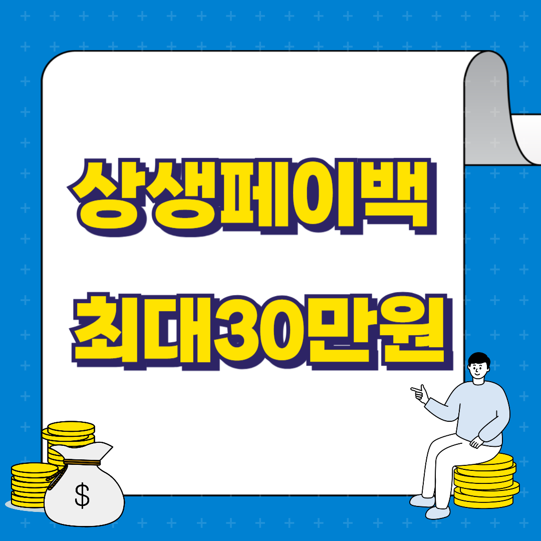 상생페이백