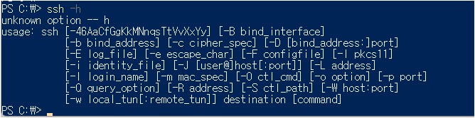 powershell 실행 화면