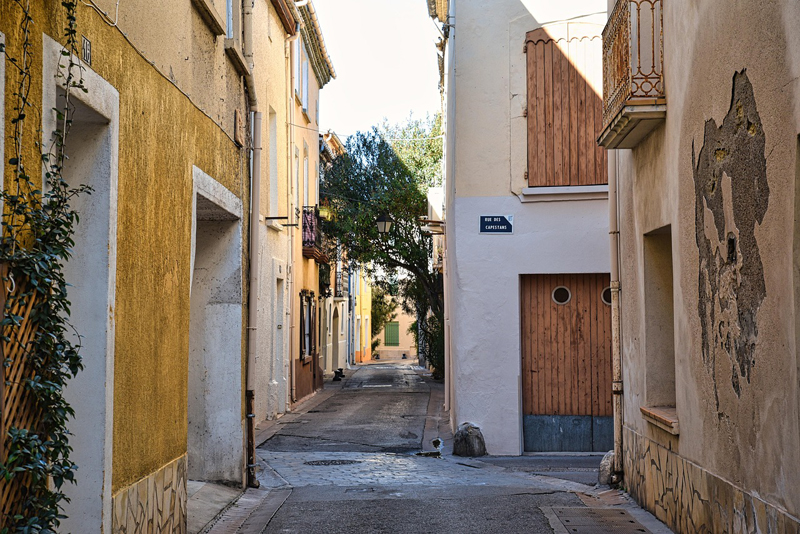 주택 임대차 계약 신고제