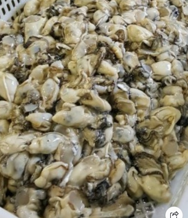 백반기행-통영-굴무침-성림