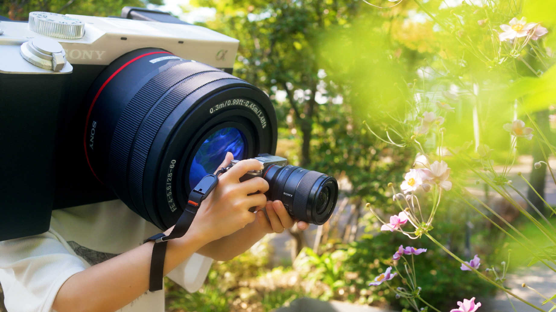 꽃을 촬영하는 모습