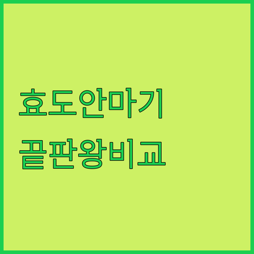 부모님 효도 선물 안마기 5종 비교 ..