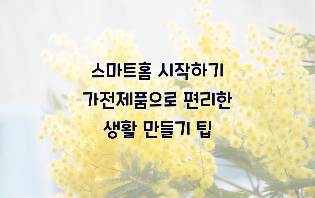  스마트홈 시작하기, 가전제품 연결로 편리한 생활 만들기