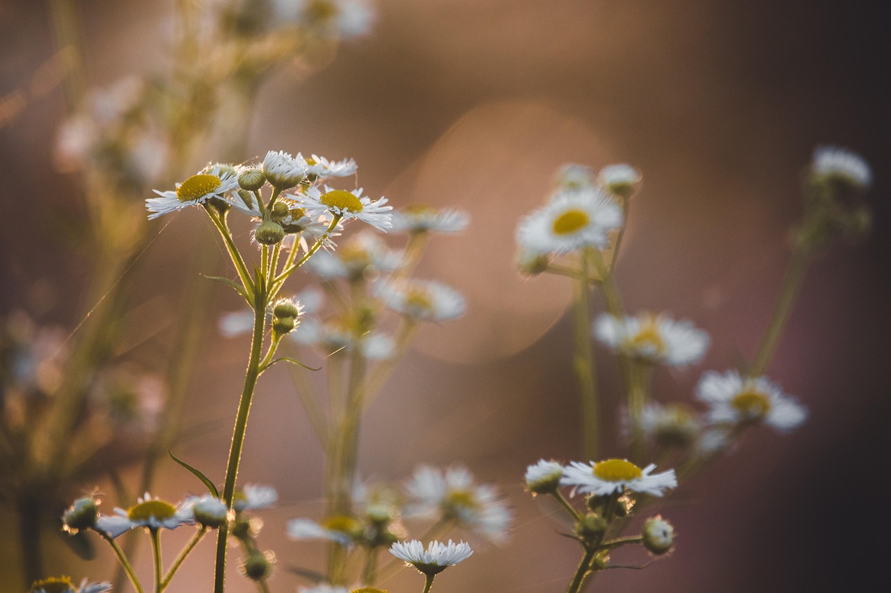 마음이 지칠 때, 위로가 되어주는 글귀들