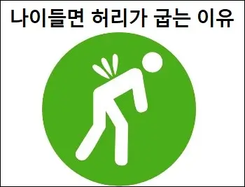 나이들면 허리가 굽는 이유