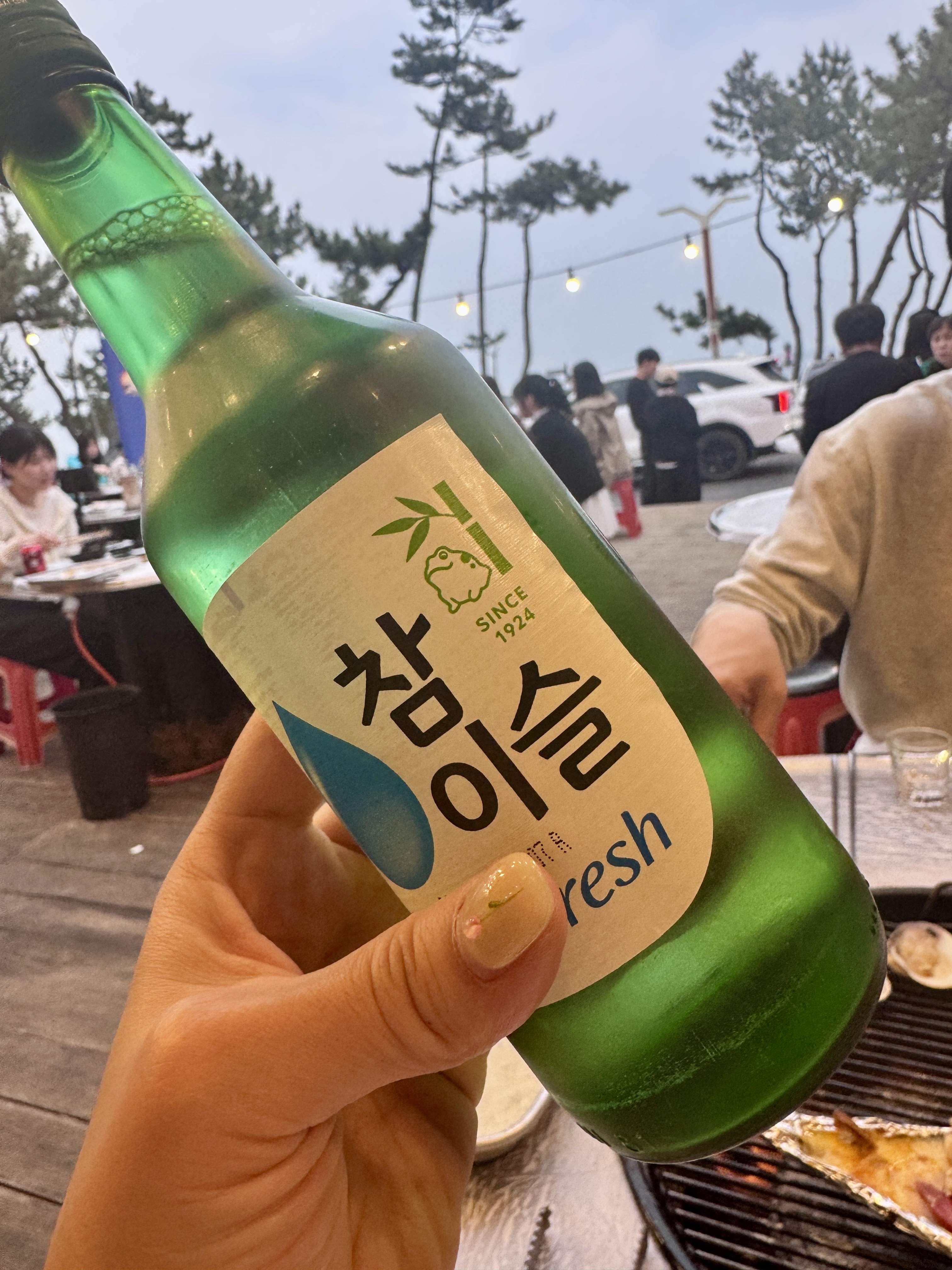 강릉 경포대 화니조개 야외석에서 참이슬과 조개구이를 즐기는 모습