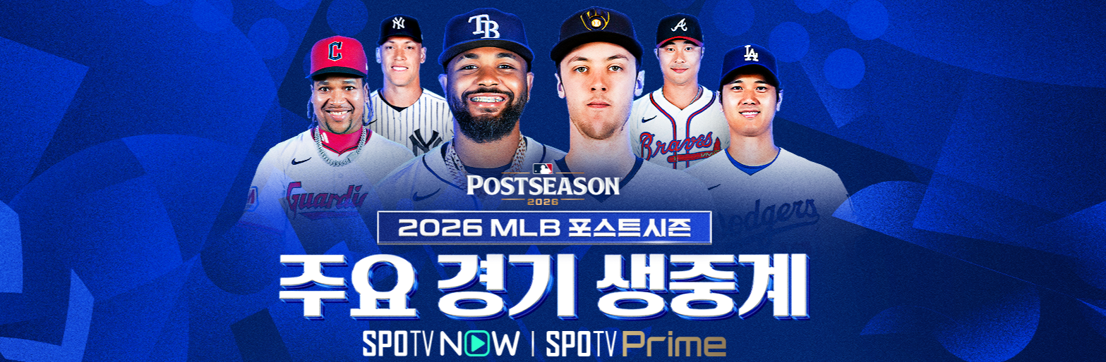 디비전 시리즈