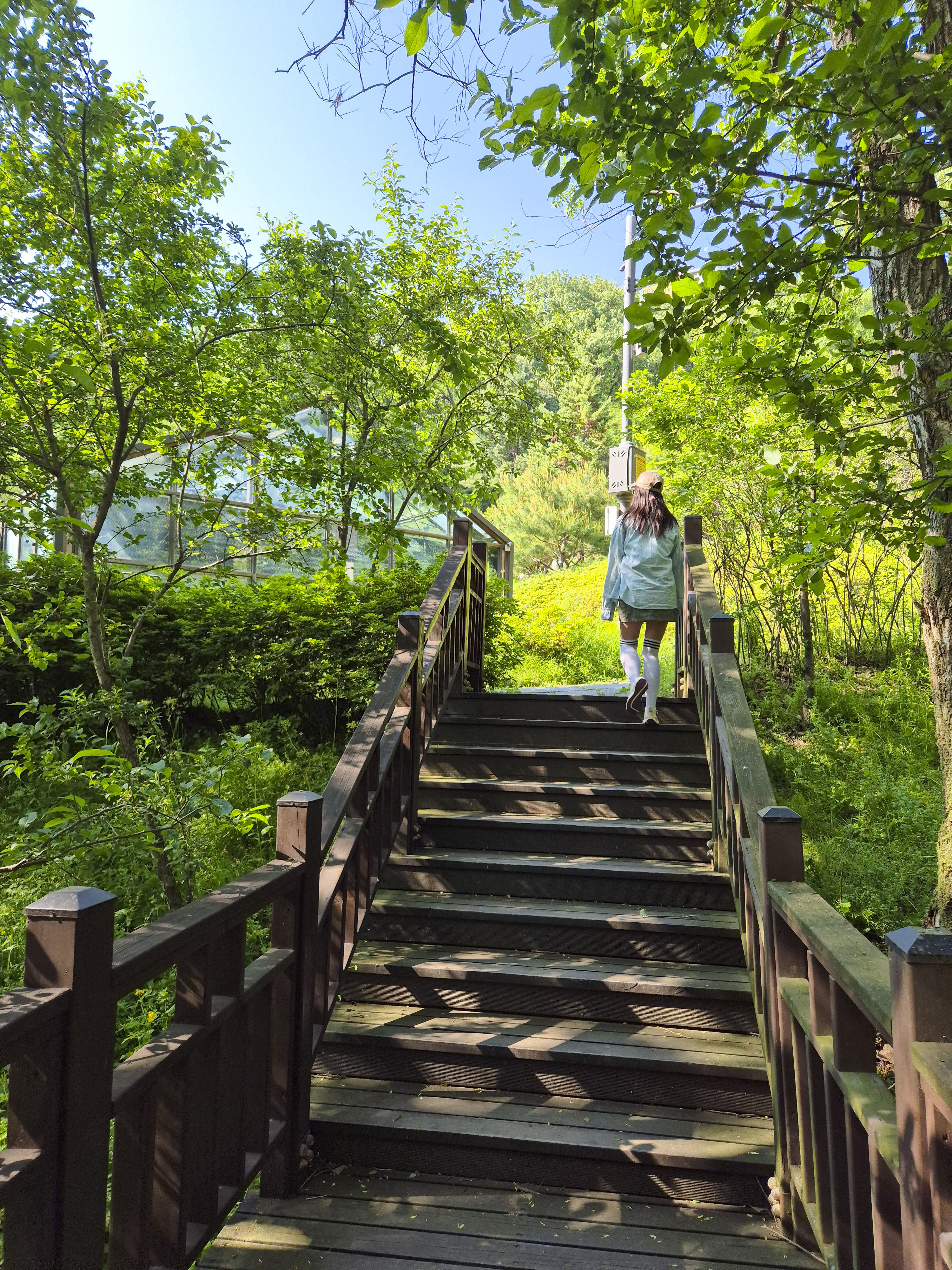 율곡 수목원 숲길