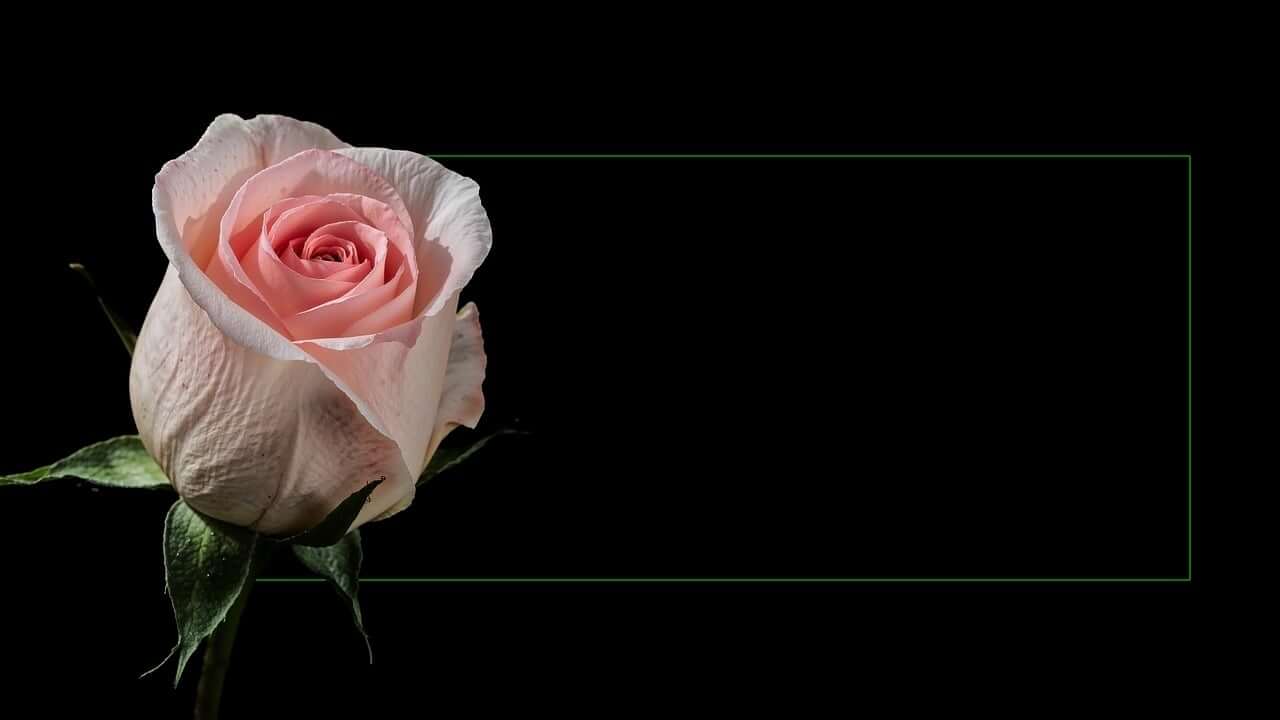 가상현실과 메타버스로 확장되는 디지털 추모의 공간들