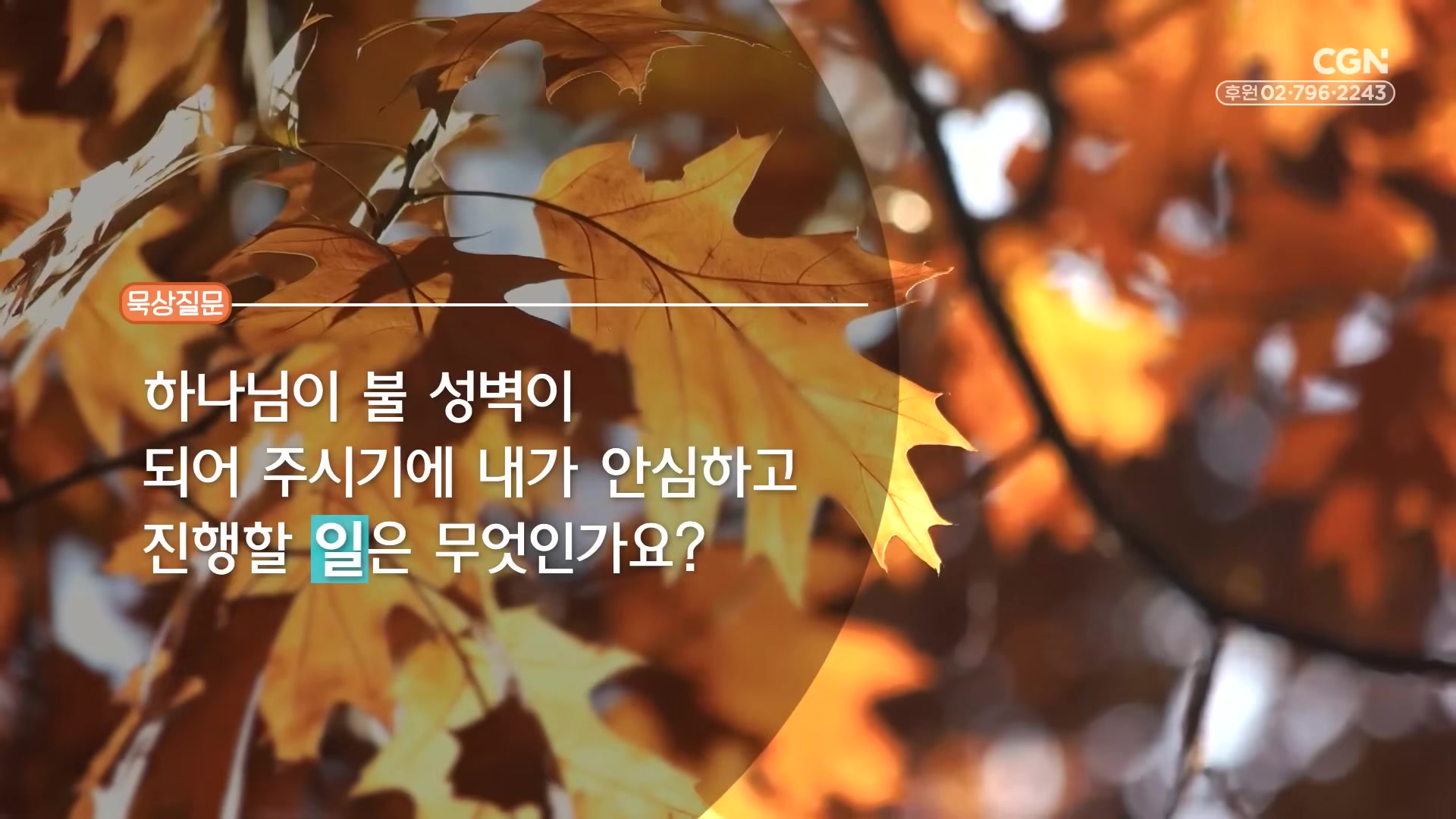 하나님이 불 성벽이 되어 주시기에 내가 안심하고 진행할 일은 무엇인가요?