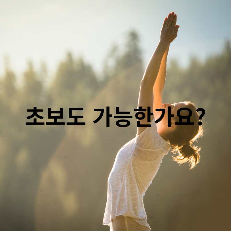 광화문 달빛 요가 신청방법부터 현장접수 꿀팁