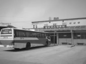 영양 시외버스터미널 시간표 예매 요금_21