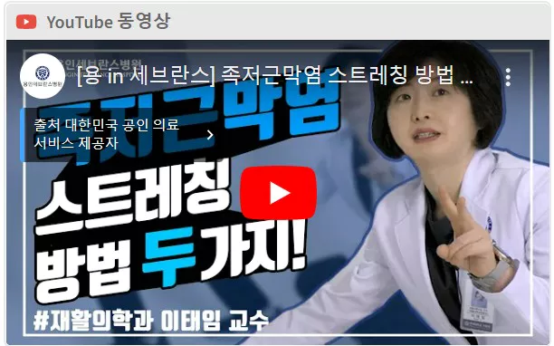 스트레칭 동영상