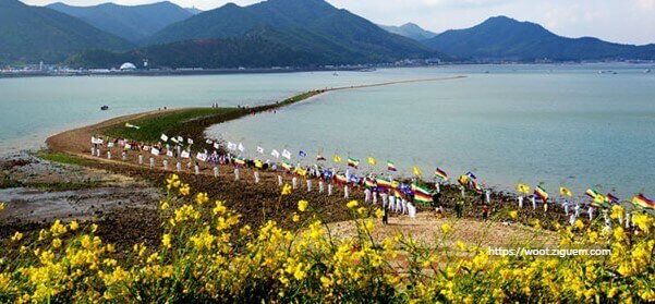 신비의 바닷길 축제