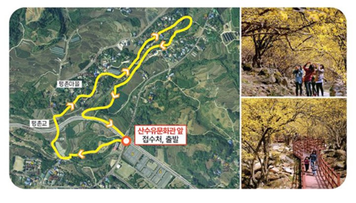 구례 산수유꽃 축제 산수유꽃길 걷기