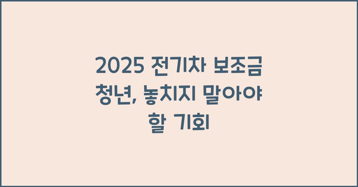 2025 전기차 보조금 청년