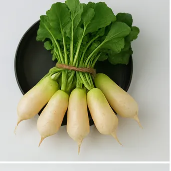 알타리무 파종시기1