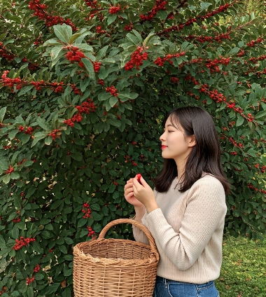 보리수 열매 수확시기