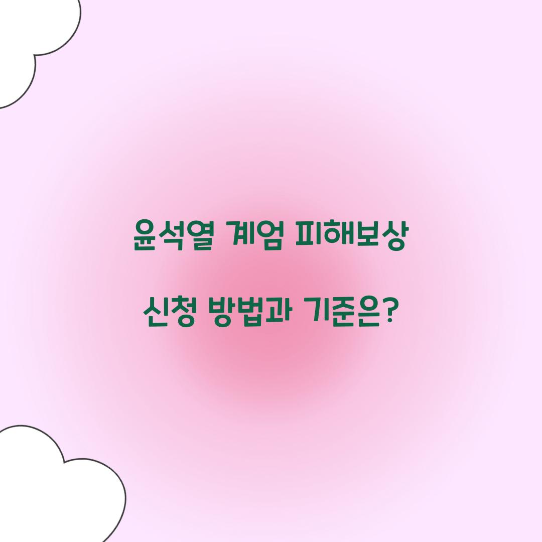 윤석열 계엄 피해보상 신청