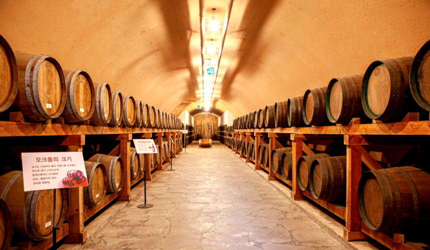 특색있고 아름다운 민간 정원 30선 추천 여행 - 23. 함양 하미앙정원