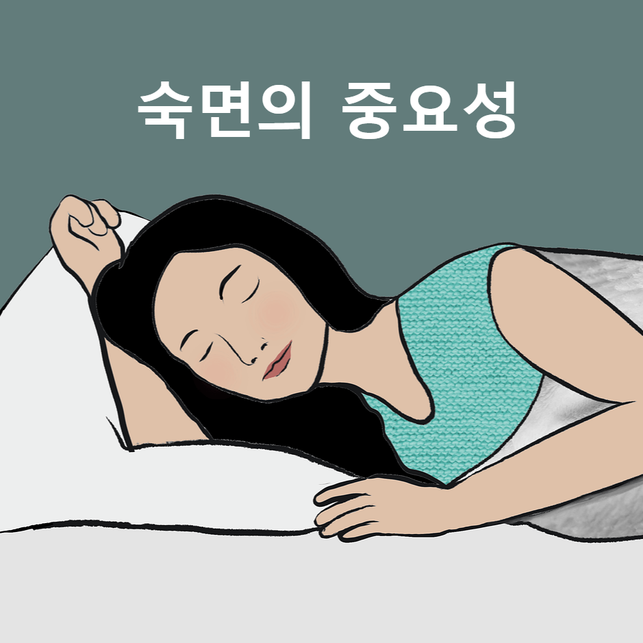 숙면의 중요성