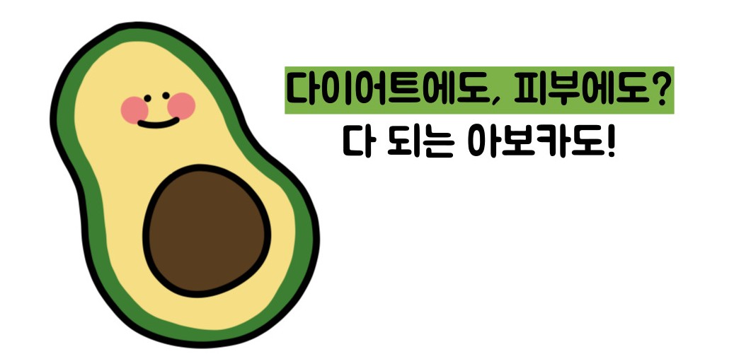 아보카도 효능