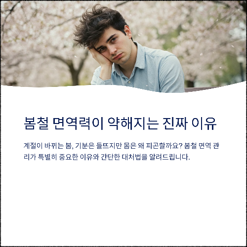 봄철 면역력이 약해지는 진짜 이유와 대처법